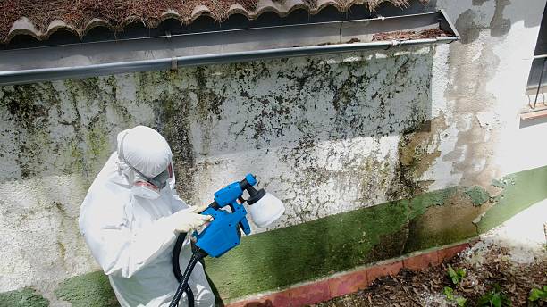 Mold Remediation service in Forest Park, Forest Park, GA